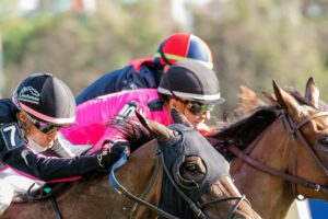 les chevaux les plus joués