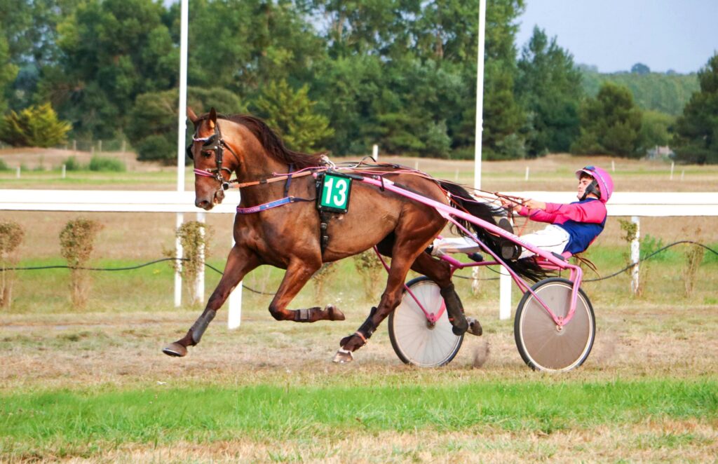 coteur pmu