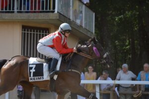 geni du turf